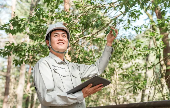 安定した公共工事で、地域の緑を未来へつなぐ仕事